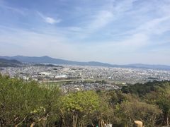 -岚山猴子公园