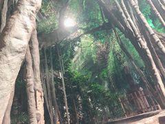 -龙达温泉生态城