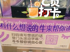 -一只酸奶牛(兰州中心店)