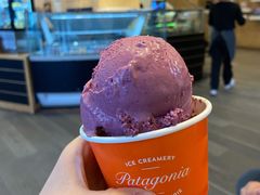 -Patagonia Chocolates(皇后镇店)
