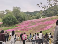 -昆嵛山石门里景区