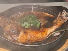 -九毛九西北菜(百信广场店)