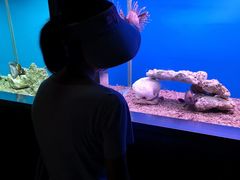 -秦皇岛新澳海底世界