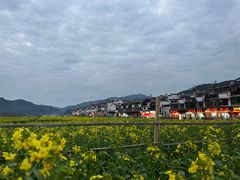 -篁嶺土菜馆·柴火饭 土鸡土菜