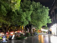 -杭州西湖风景名胜区-满觉陇四眼井