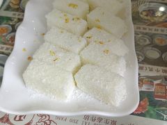 -周大娘牛乳(旧寨古村总店)