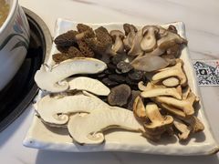 -蘑统田下·野生菌火锅