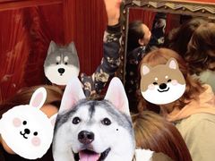 -上海和平饭店 Fairmont Peace Hotel