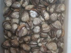 -宾朋海鲜特色美食餐厅·纯手工鲅鱼水饺(兴海路店)