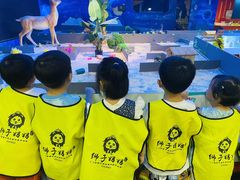 -狮子妈妈托育早教幼儿园(岳麓店)