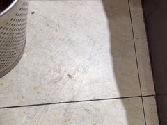 -禧龙宾馆(北京夕照寺店)