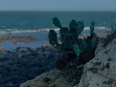 -硇洲岛旅游区