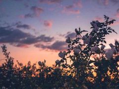 -槿言教育·雅思托福·国际教育·小语种培训留学中心(观音桥店)
