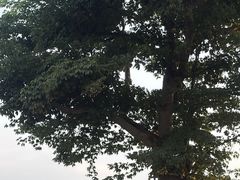 -深圳湾公园(南山区)