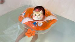 -养月堂中医养生月子会所(中心妇产店)