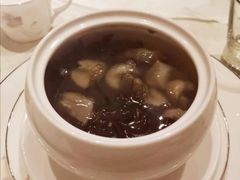 冲汤活海参-伊尹活海参馆(衡山路店)