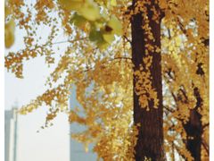 -百林公园-两江幸福广场