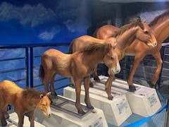 -吉林省自然博物馆