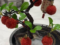 -椿记烧鹅(七星店)