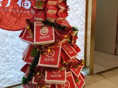 -海底捞火锅(吾悦国际广场店)