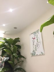 -健身堂科技美肌SPA