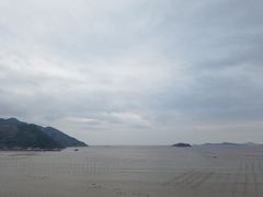 -北岐滩涂