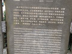 -桃花涧