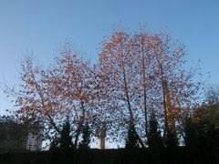 android_upload_pic-陕西师范大学(雁塔校区)