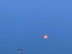 -丁香湖公园