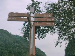 -龙井村