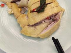 特色白切草母鸡-新名仕新白玉兰餐厅