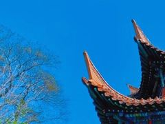 -戏马台景区
