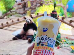 -广州长隆野生动物世界