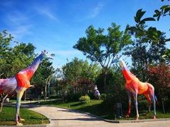 -南宫五洲植物乐园