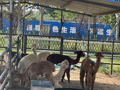 -秦皇岛野生动物园