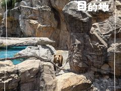 -珠海长隆海洋王国