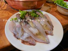 -东镇老火锅(长春路首店)