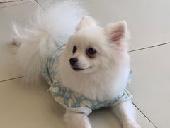 -怪兽屋·羊驼·猫咖·狗咖(俊华广场店)