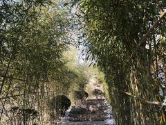 -竹子庵公园