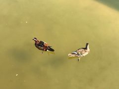-西安曲江寒窑遗址公园