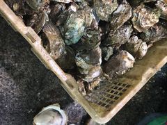 -青石桥市场北1-27号