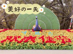 -呀路古热带植物园