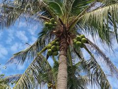 -三亚南山文化旅游区