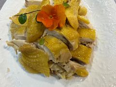 -明本湛江鸡•海鲜小厨(陈家祠店)