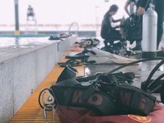 -上海潜殿潜水中心