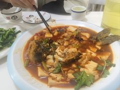 -煲来饱去冷水鱼