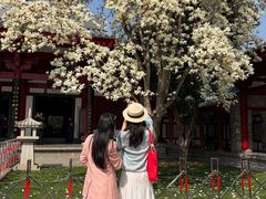 -大慈恩寺(大雁塔)