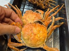 -胶东海鲜大排档(北太平庄店)