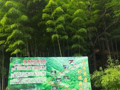 -藏龙百瀑风景区