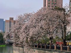 -红星桥(地铁站)